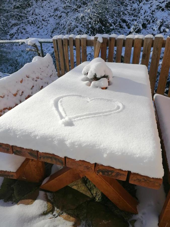 Am Sersbach フォルバック エクステリア 写真